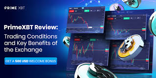 Discover the Benefits of Trading Platform PrimeXBT Discover the Benefits of Trading Platform PrimeXBT